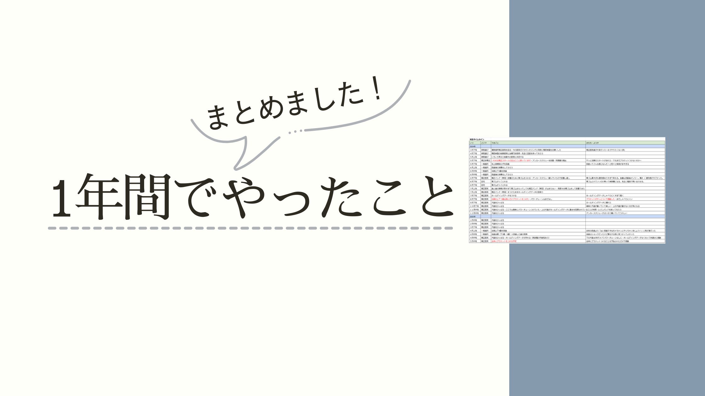 病院探し・カウンセリングからブラケットをつけるまで、1年間でやったことをすべてまとめました。
